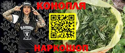 прущие крисы Аша