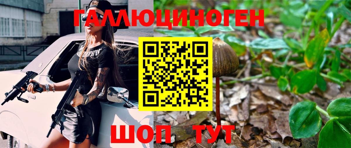 Казань  Псилоцибиновые грибы GOLDEN TEACHER  Псилоцибиновые грибы прущие грибы  Вход с VPN 