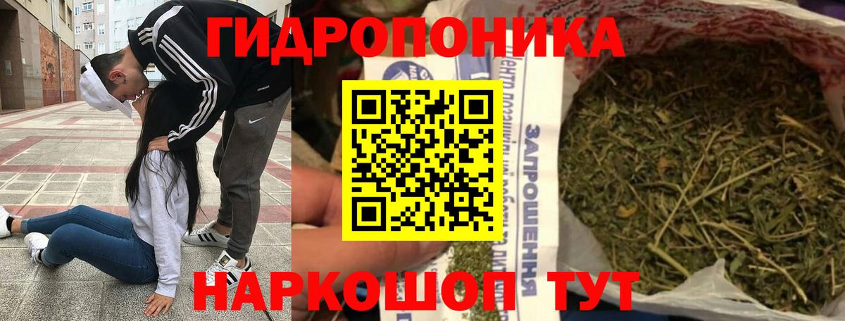 Конопля индика  МАРИХУАНА конопля  Каннабис гибрид  Марихуана ГИДРОПОН  Вход с VPN  Казань 